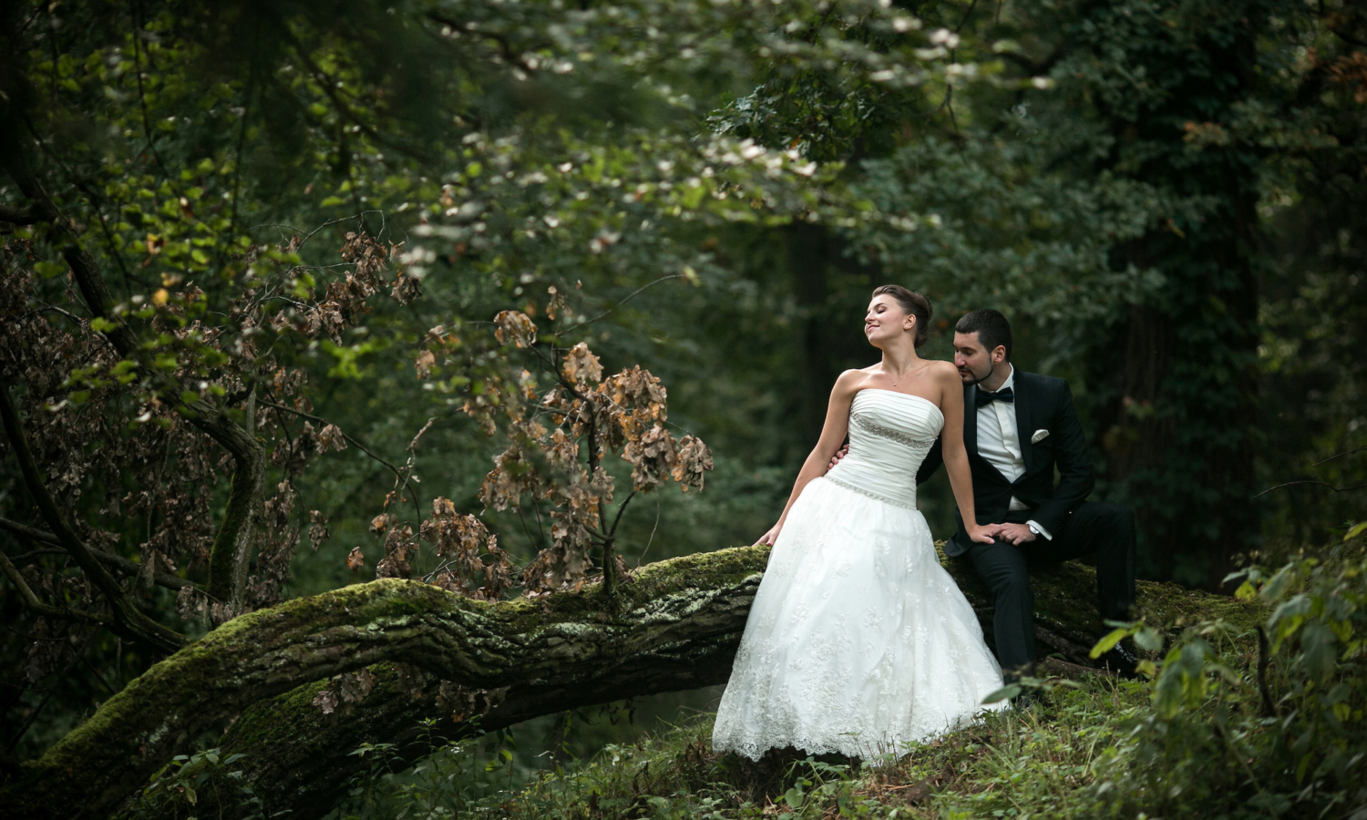 Freie Trauung | Freie Trauredner | Hochzeit | Sänger | Musik | Westerwald